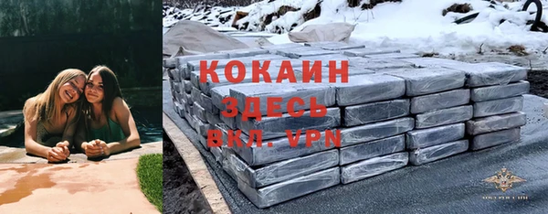 дживик Абаза