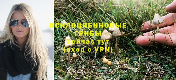 дживик Абаза