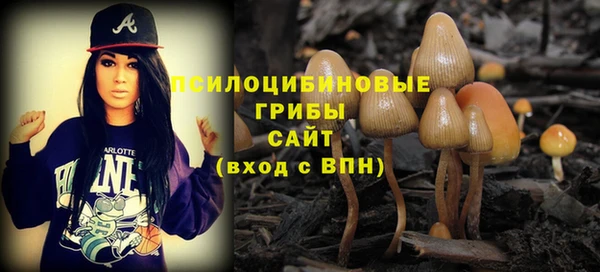 ешки Нефтекумск