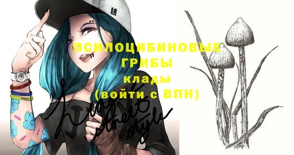 прущие крисы Абинск