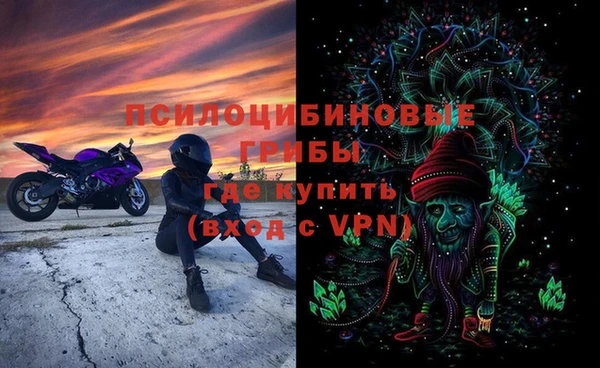 дживик Абаза