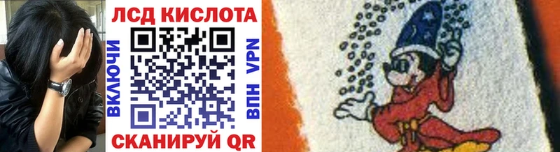 сколько стоит Торопец Марки N-bome 1,8мг