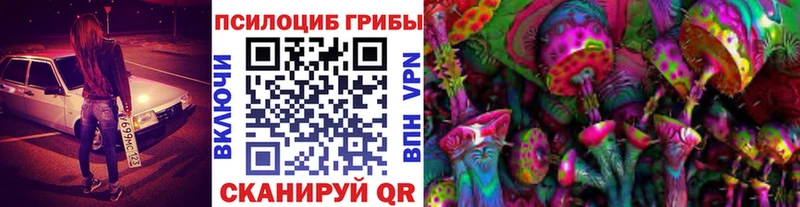 Галлюциногенные грибы мухоморы  Торопец 
