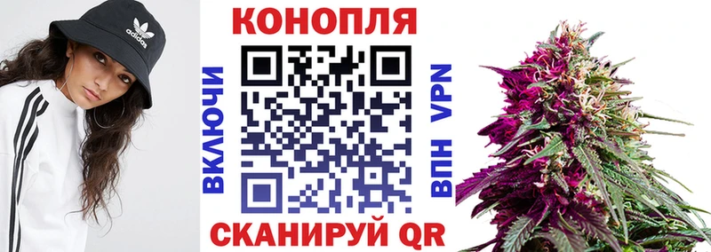 сколько стоит  Торопец  Бошки марихуана ГИДРОПОН 